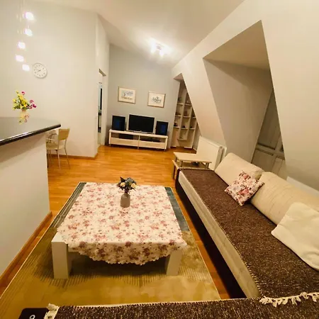 Apartment Vip
